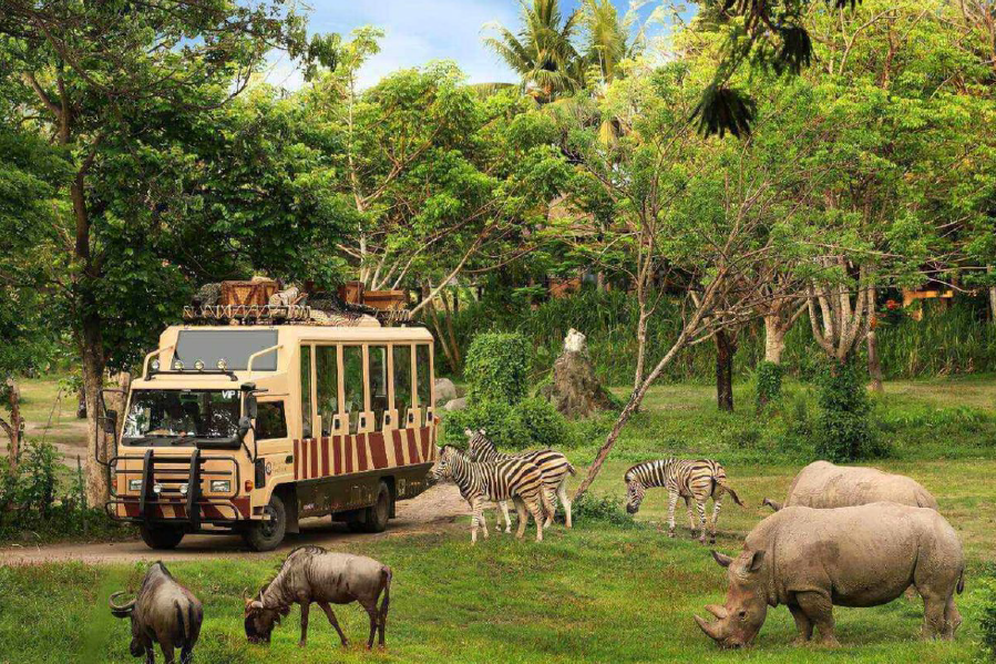 Bali Safari