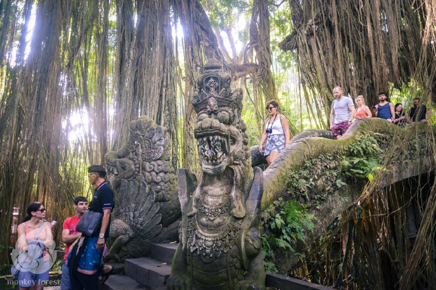 Monkey Forest Ubud